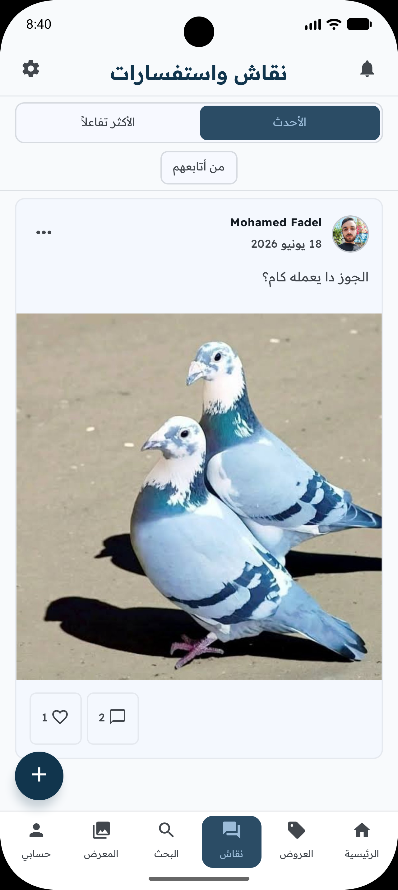 نقاشات غواة الحمام داخل التطبيق