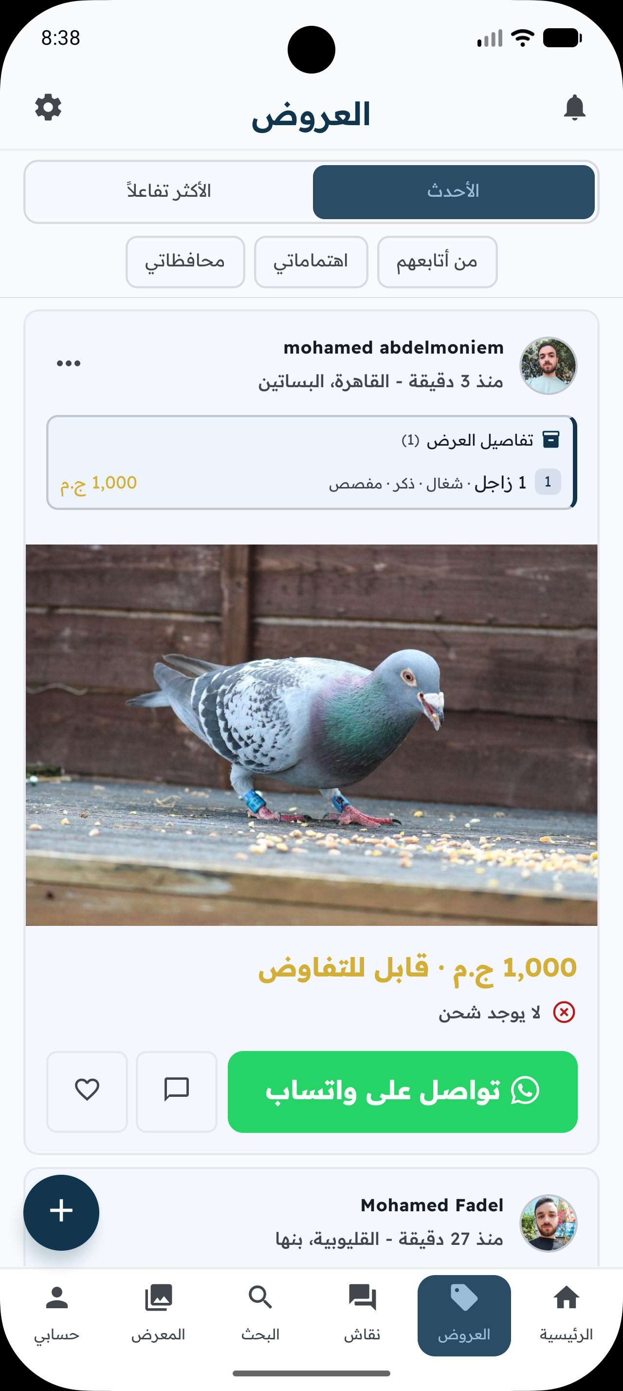 عروض بيع وشراء الحمام داخل التطبيق