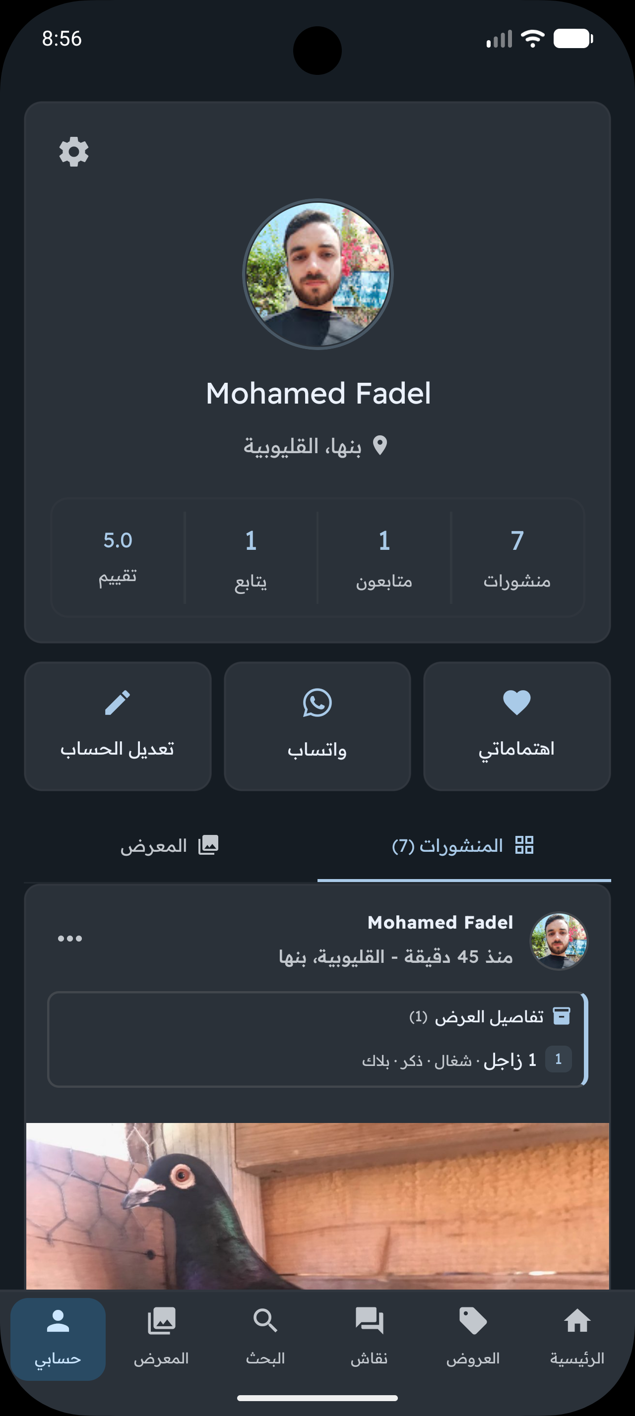 صفحة الحساب الشخصي في مجتمع الغواة